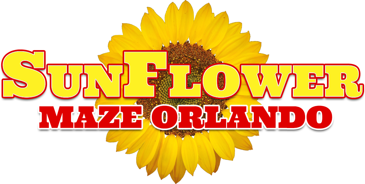Sunflower Maze